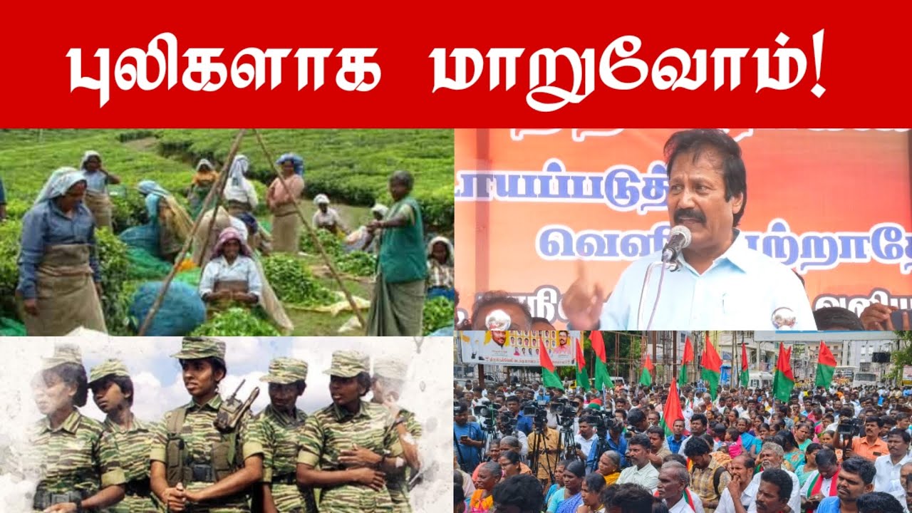 மாஞ்சோலை பிரச்சினையில் புலிகளாக மாறுவோம் - டாக்டர் கிருஷ்ணசாமி ஆவேசம்