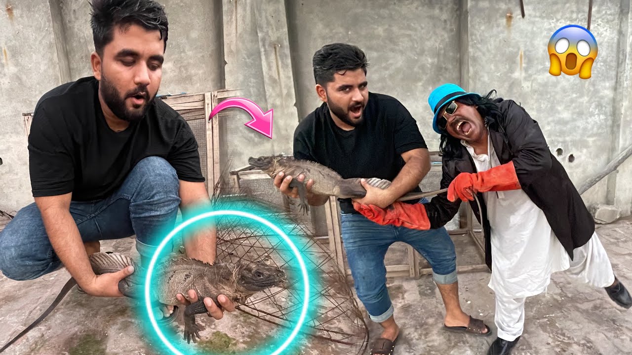 Khatarnak lizard pet house ma a gai 😱😱