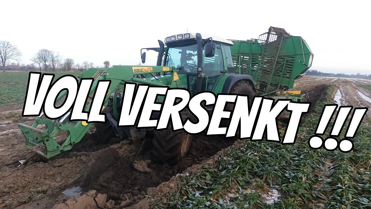 #vlog97  Schlammschlacht: Rübenernte EXTREM !!! Kann ich meine Rübenernte retten?