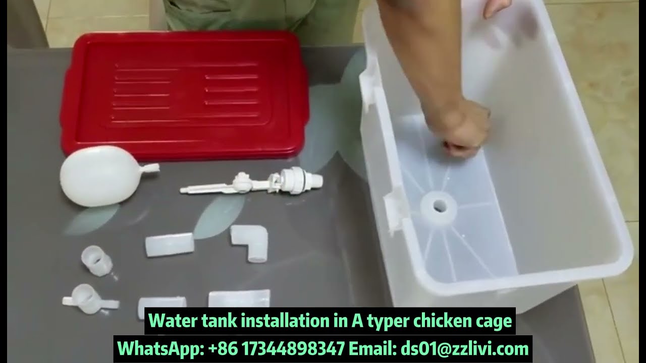 High quality Water tank installation in A type chicken cage & essential chicken raising equipment