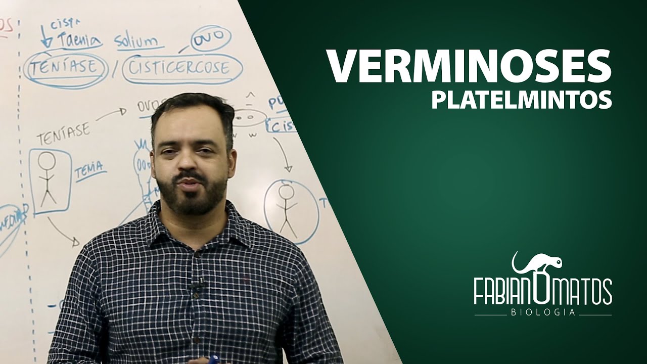Verminoses - Platelmintos - Fabiano matos