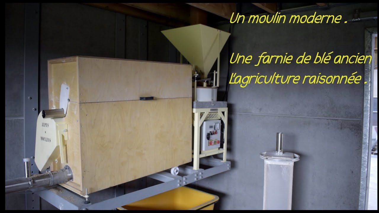 Un Meunier  moderne farine ancienne , pain maison  . Une agriculture raisonnée et local .