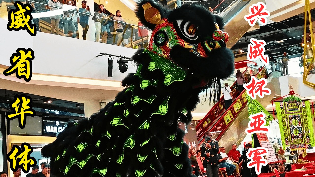 甲抛峇底华人体育会龙狮团-亚军- @ 2025全国舞狮锦标赛 - 兴成杯/ Tiong Hua Kepala Batas @ 2025 National Lion Dance Championship
