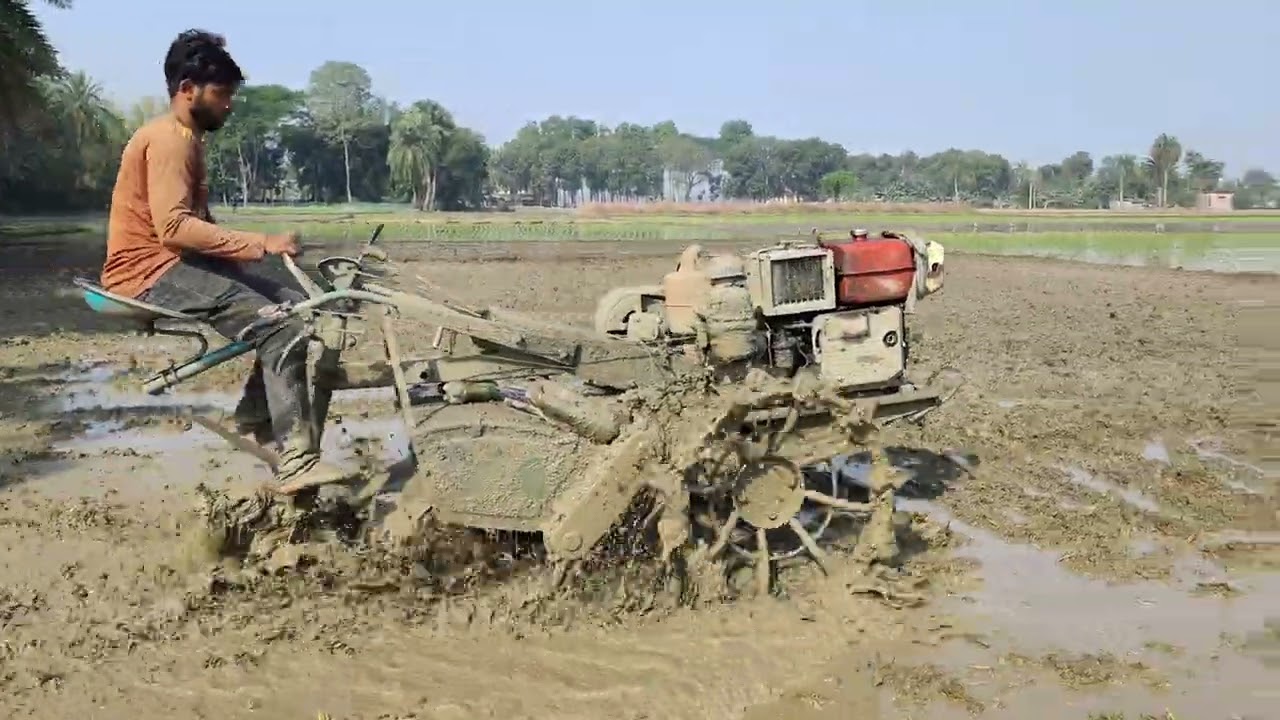 পাওয়ার টিলার দিয়ে জমি কাদা করা ও ধান চাষের প্রস্তুতি  Land Preparation for Rice Farming with Power