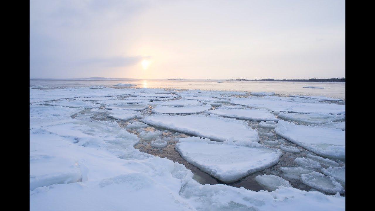 Sound of Ice - Ice in Motion