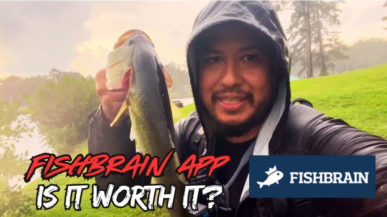 LATE SUMMER BASS FISHING FROM THE BANK (using the FISHBRAIN app)