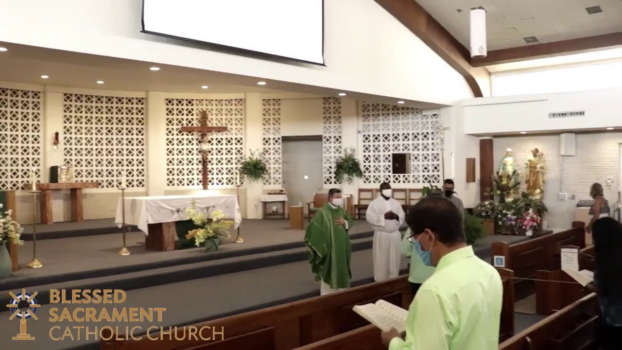 Twenty Seventh Sunday in Ordinary Time Live Stream