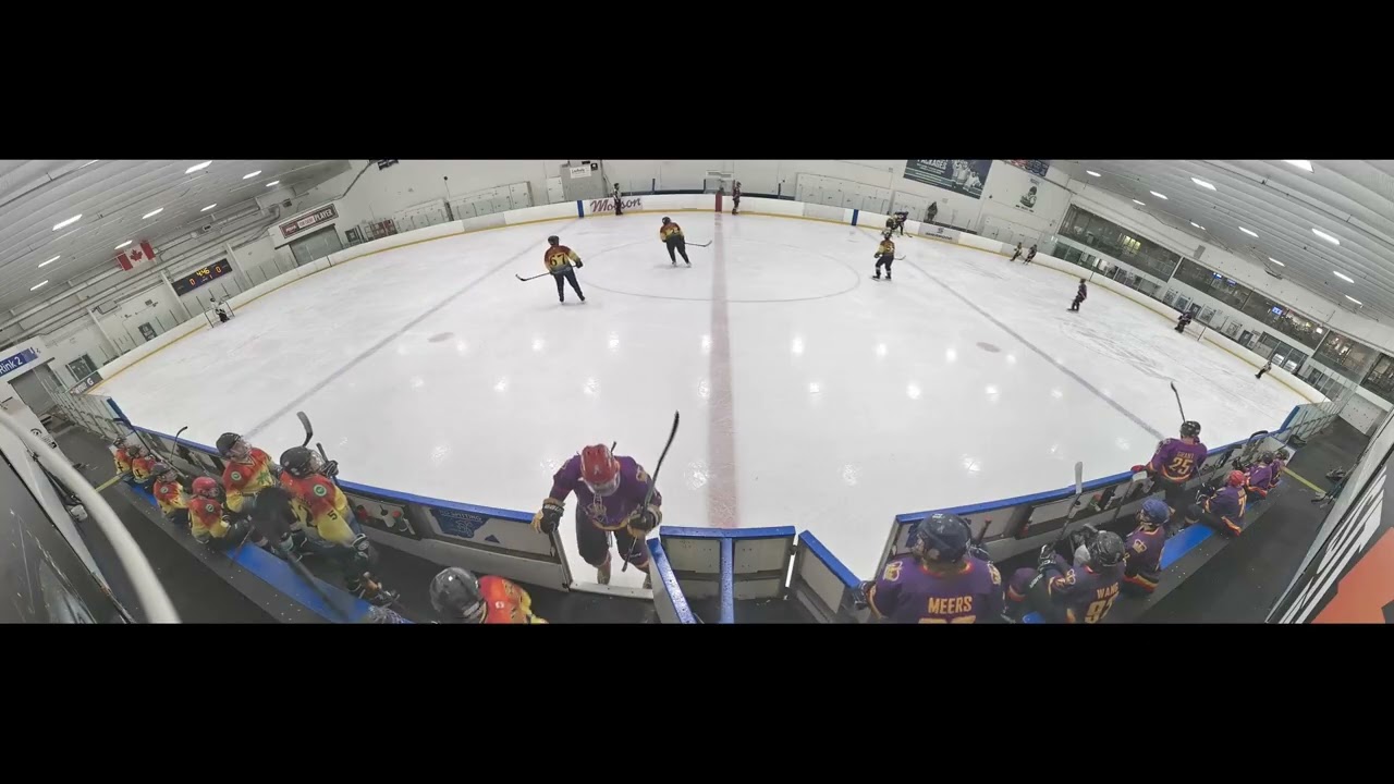 3 Hour Tour March 6th 2026