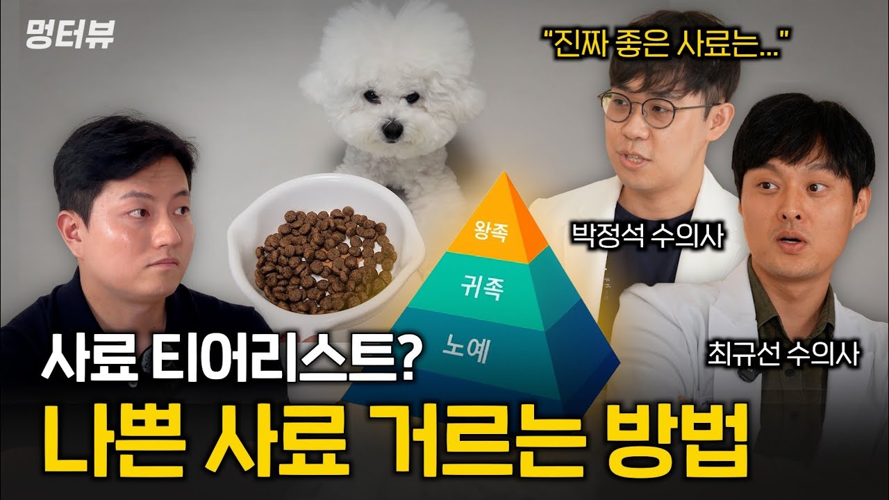 강아지 생명 위협하는 나쁜 사료들 이렇게 거르세요 (제발 속지 마세요) | 멍터뷰ep.34