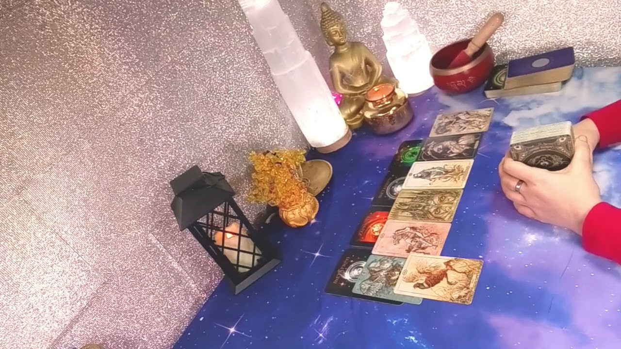 🤯💥⚖️DISCUTEN POR TI CAVARON SU PROPIA TUMBA ESTÁN EN SHOK SABEN Q ESTA GUERRA CONTRA TI ESTA PERDIDA