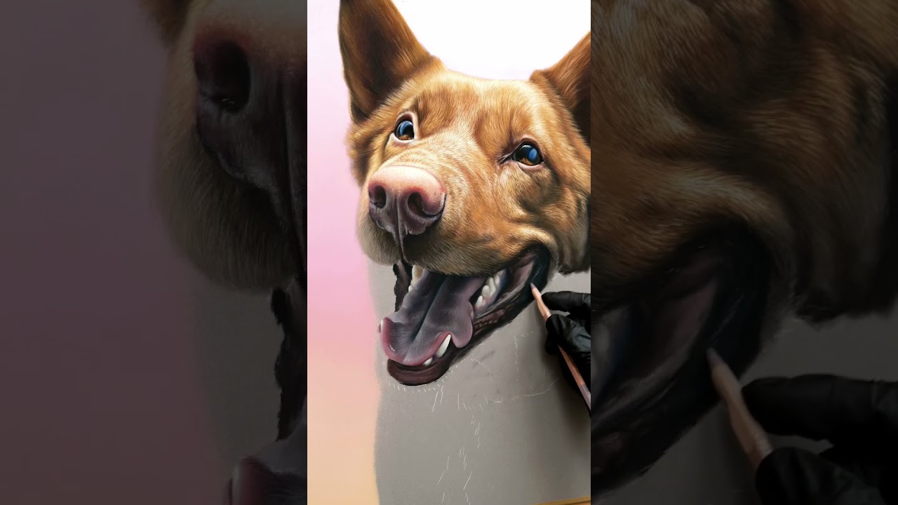 Pet Portrait Soft Pastel Artwork ASMR 🔊 