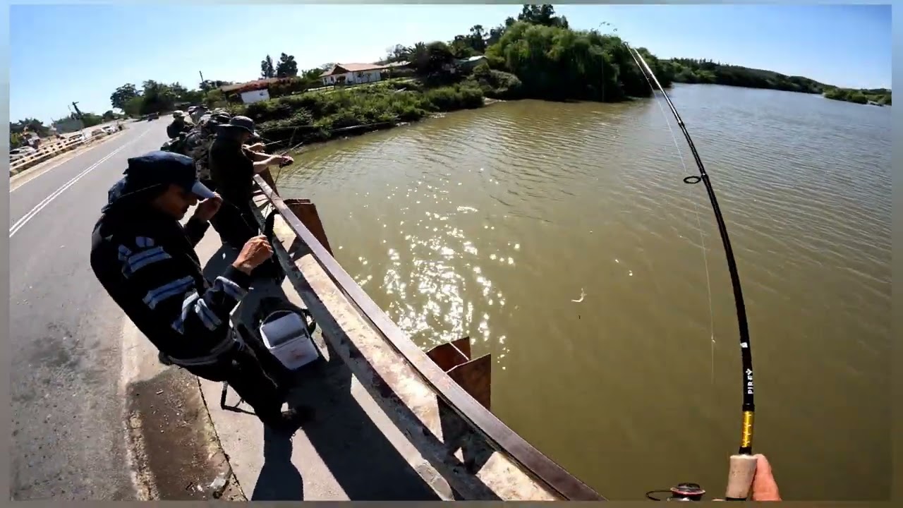 pesca de pejerrey, puente san José de marchigue 2022