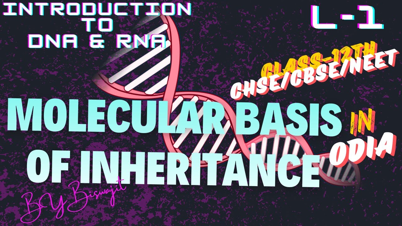 Molecular basis of inheritance 01 in Odia,Class 12th ,CHSE Odisha,CBSE,NEET,Biswajit