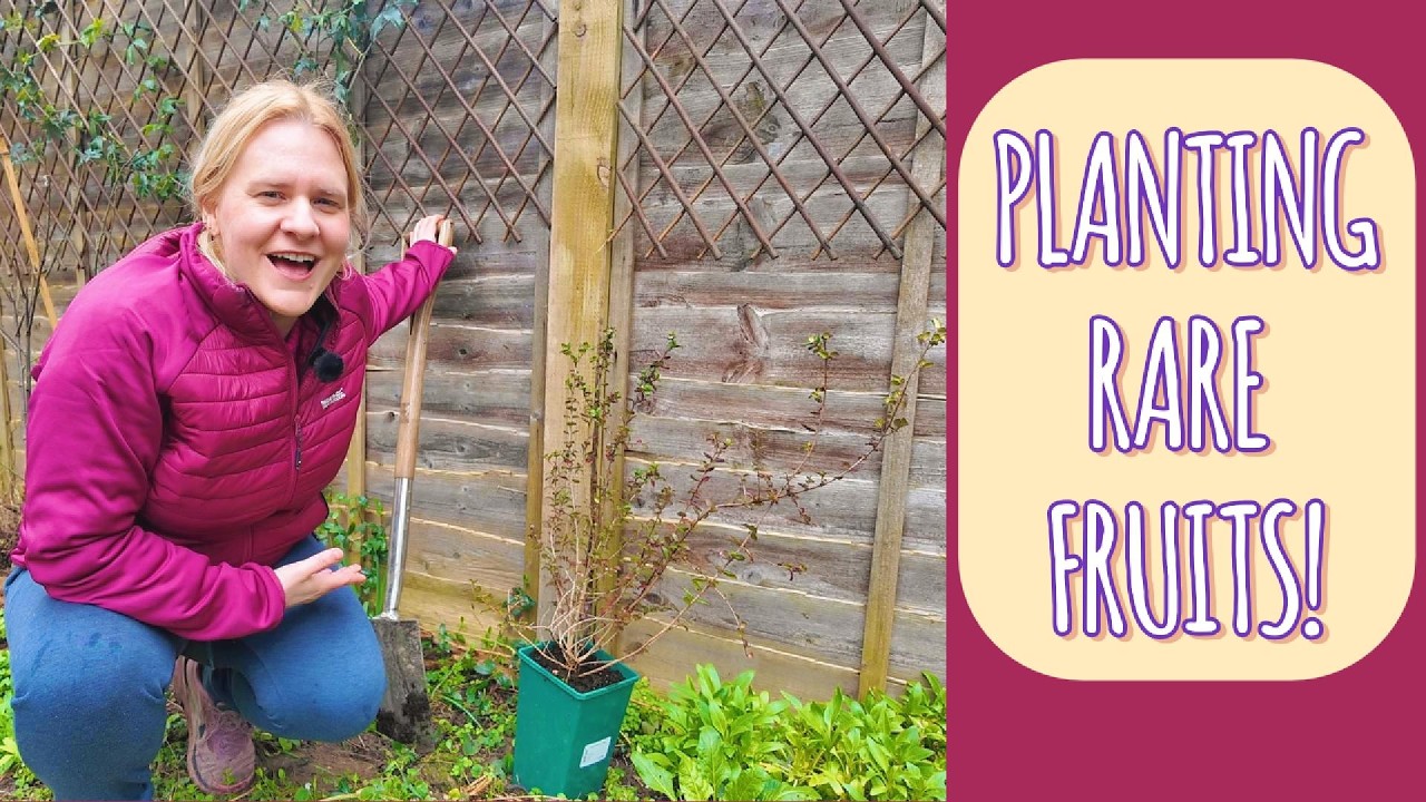 Spring Planting 🌱 How I grow unusual fruits in a small garden!