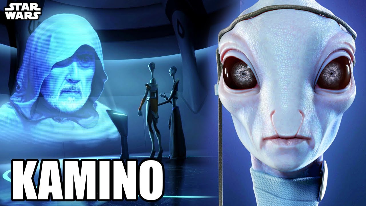 Why the Twisted Kaminoans Wanted ORDER 66 To Happen - Star Wars Explained