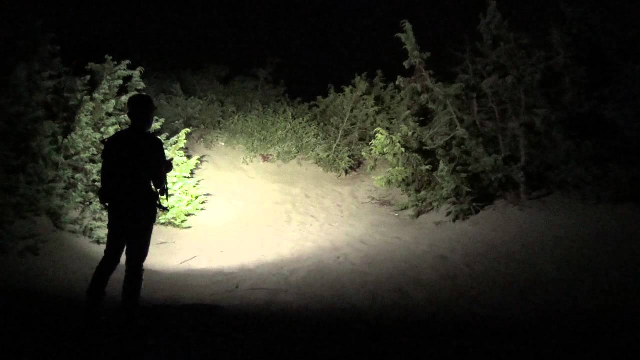 Zebralight H602w vs H600Fw vs H600w - beamshot