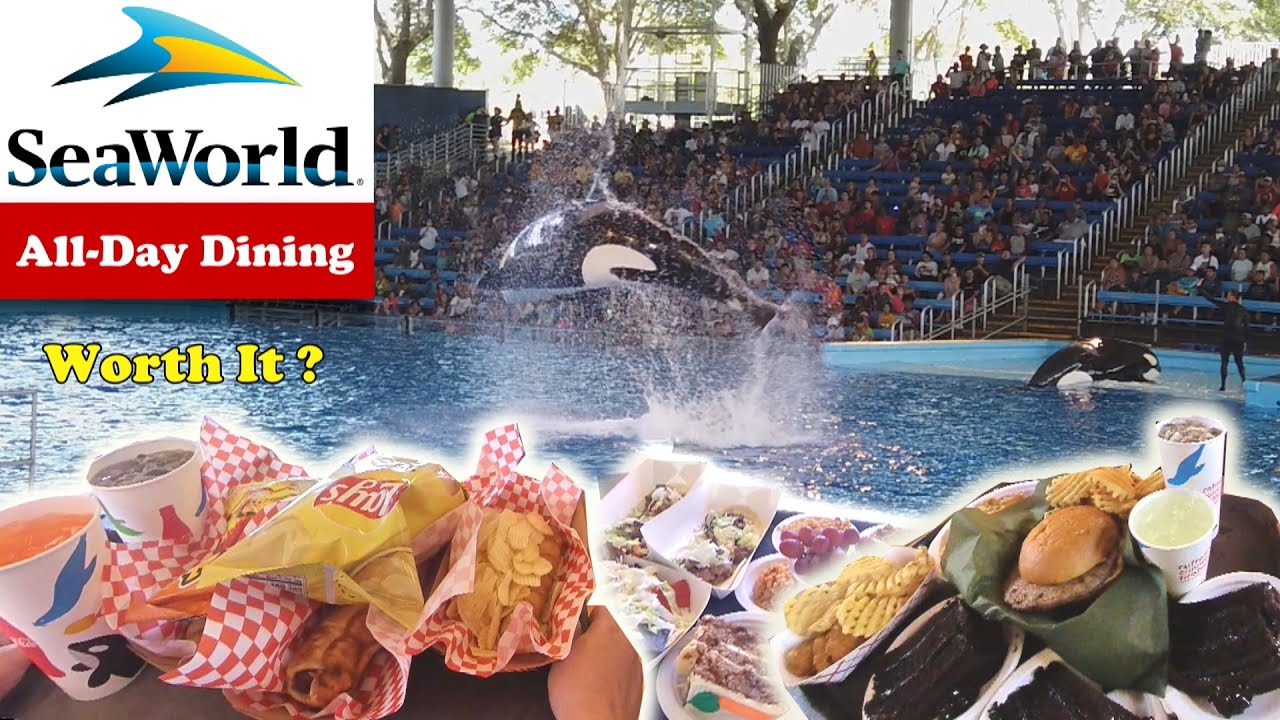 Предложение «Ужин в течение всего дня в SeaWorld» | Стоит ли оно того? | Сан-Антонио, Техас