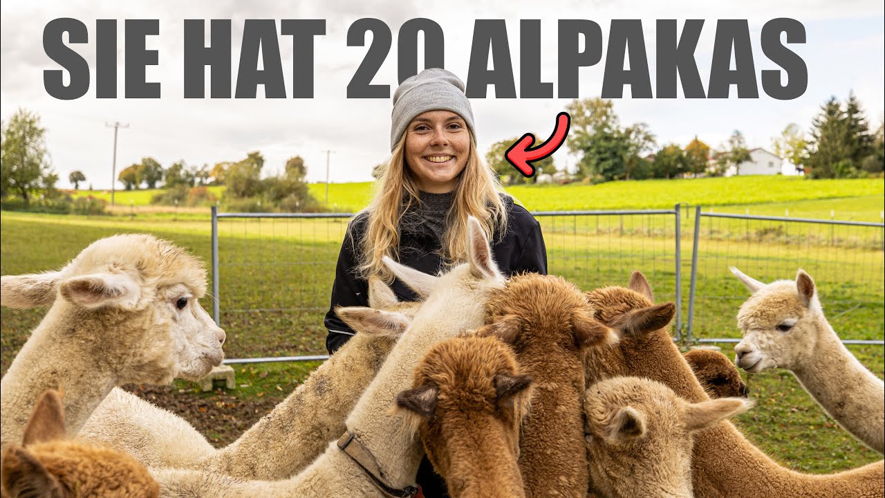 Lea hat eine Alpaka Farm 🦙 | Wie ist das?