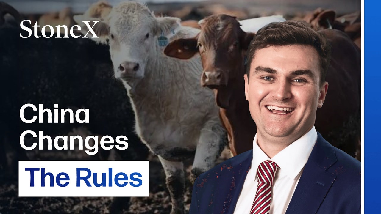China’s New Beef Quotas Are Repricing Australia’s Cattle Market