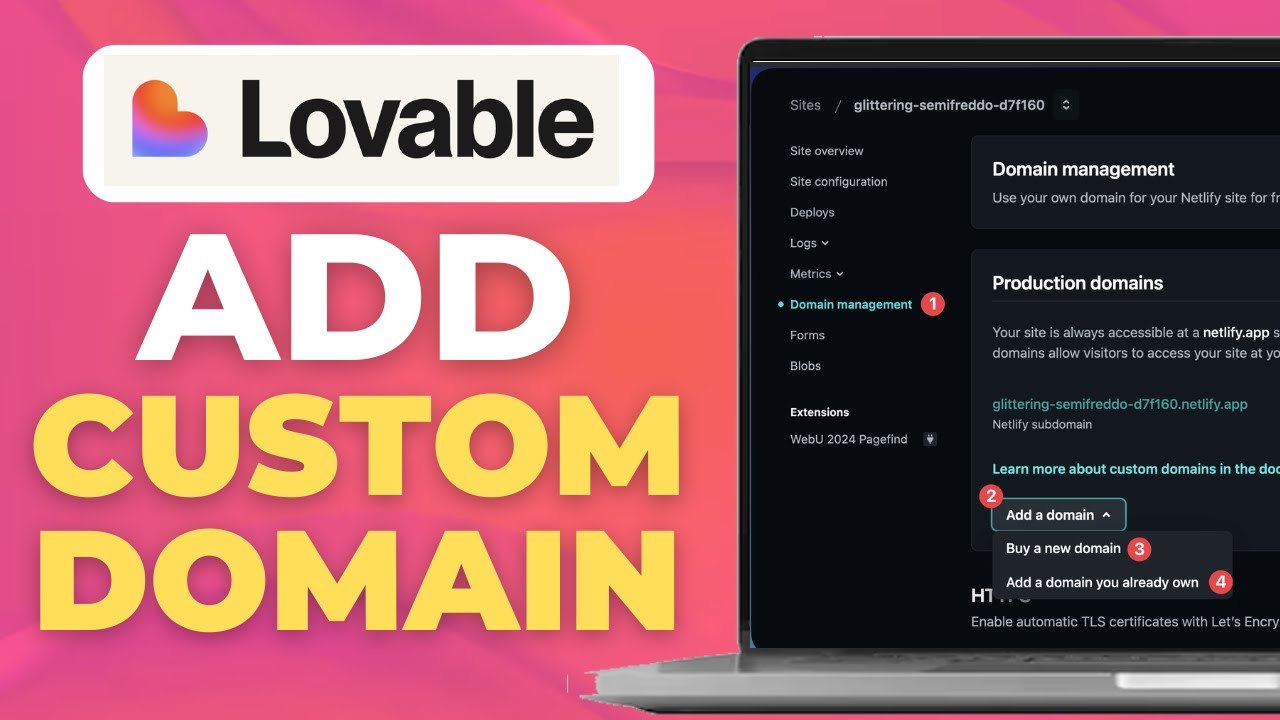 How To Add A Custom Domain To Your Lovable Project