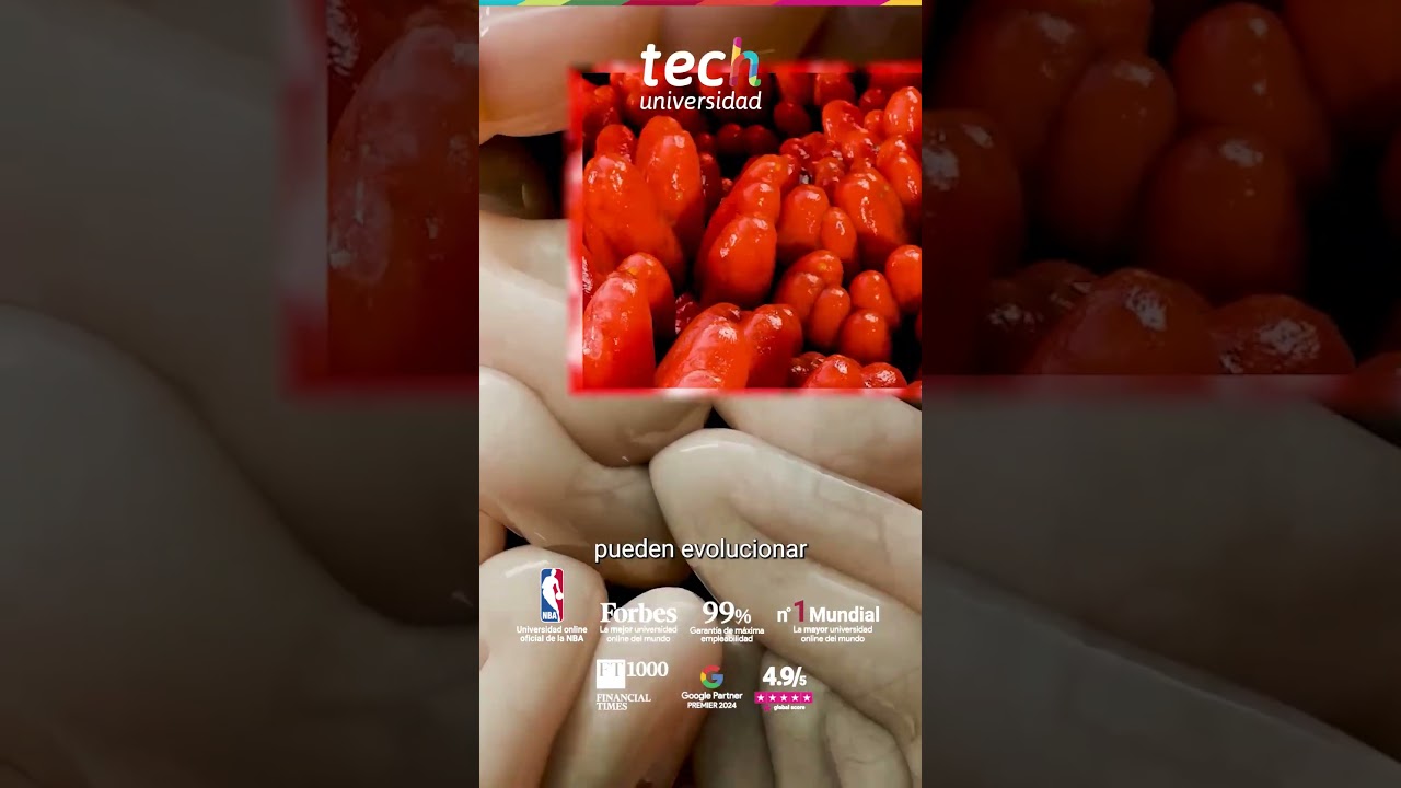 Obstrucci&oacute;n intestinal: protocolos avanzados en urgencias digestivas ❘ TECH Universidad