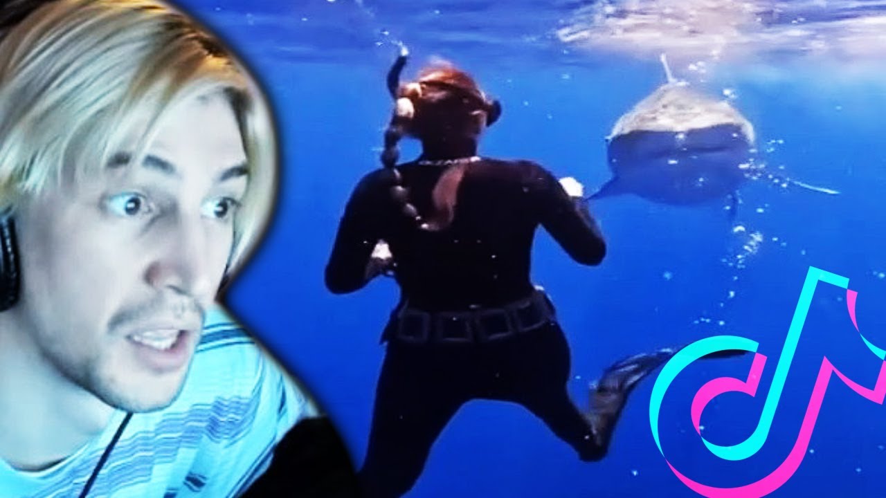 TIKTOKS THAT ARE CRAZY AND UNBELIEVABLE