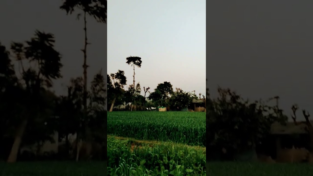 ખેડૂત પુત્ર ‌krishna dairy farm devkamboi ❤️
