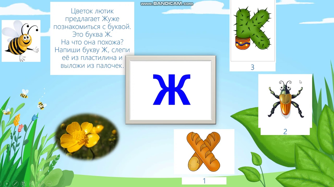 Звук Ж автоматизация в слогах, словах, предложениях. Подготовка к обучению грамоте.