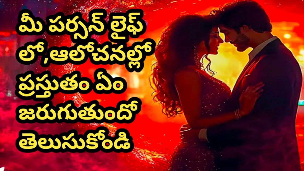 💯❤మీ పర్సన్ లైఫ్ లో ఆలోచనల్లో ప్రస్తుతం ఏం జరుగుతోంది.వాళ్ళ లైఫ్ current situations ఏంటి.🤔