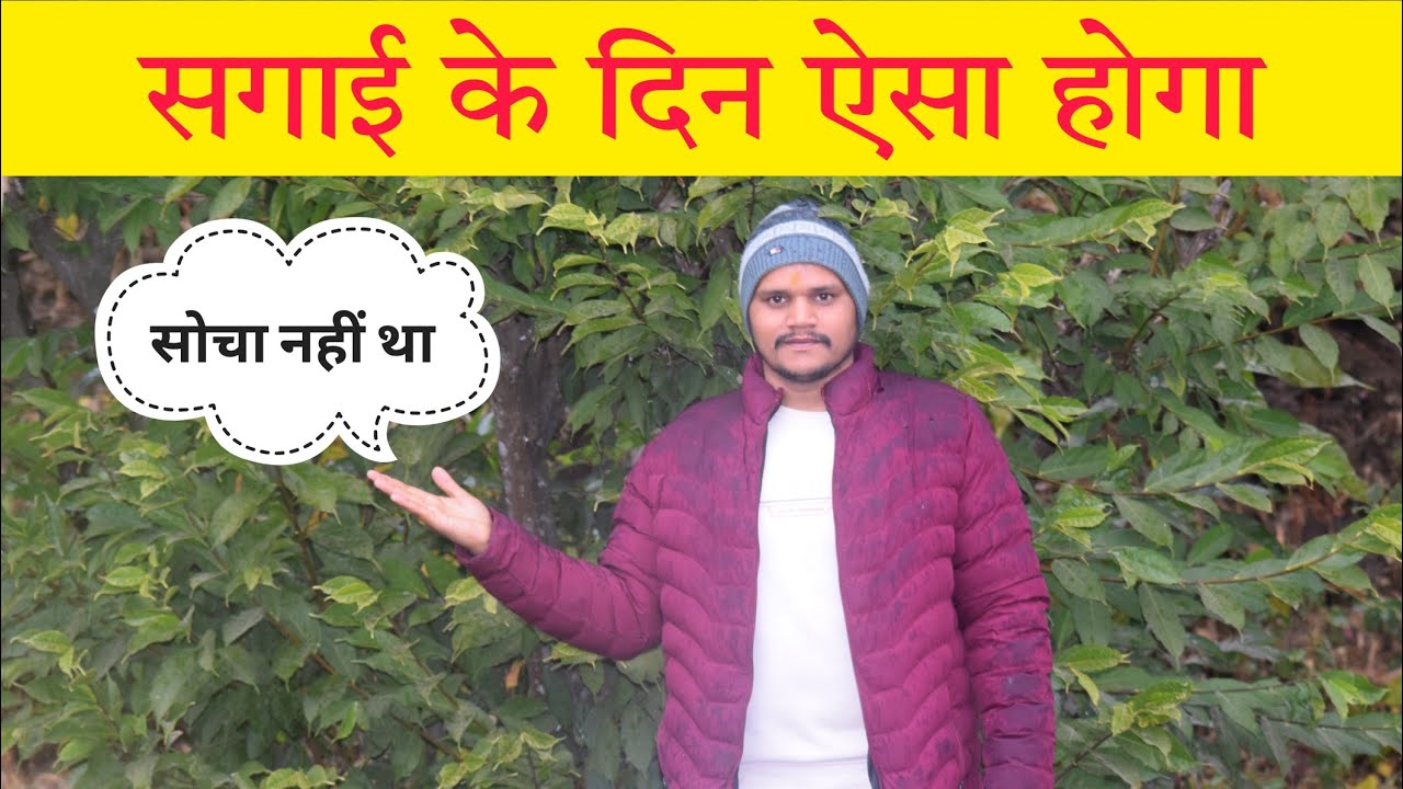 भयंकर बर्फ पड़ी ll Devbhumi Uttarakhand ll  पहाड़ी रिति-रिवाजों के साथ बहन की सगाई ll दिनभर बारिश