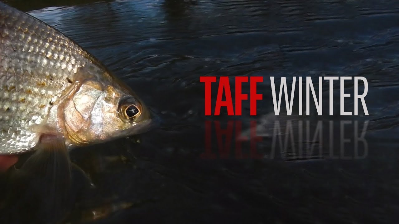 Taff Winter
