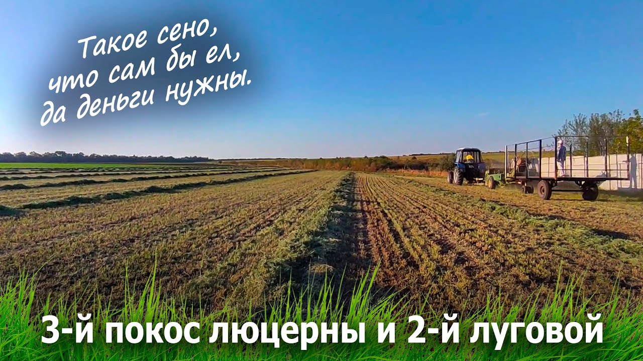 3-й покос люцерны и 2-й луговой