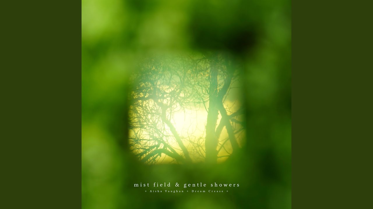 mist field & gentle showers