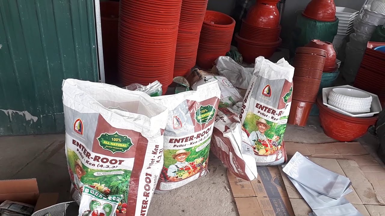 chương trình khuyến mãi tri ân khách hàng, phân bón hữu cơ Bỉ Enter root - miễn ship toàn quốc
