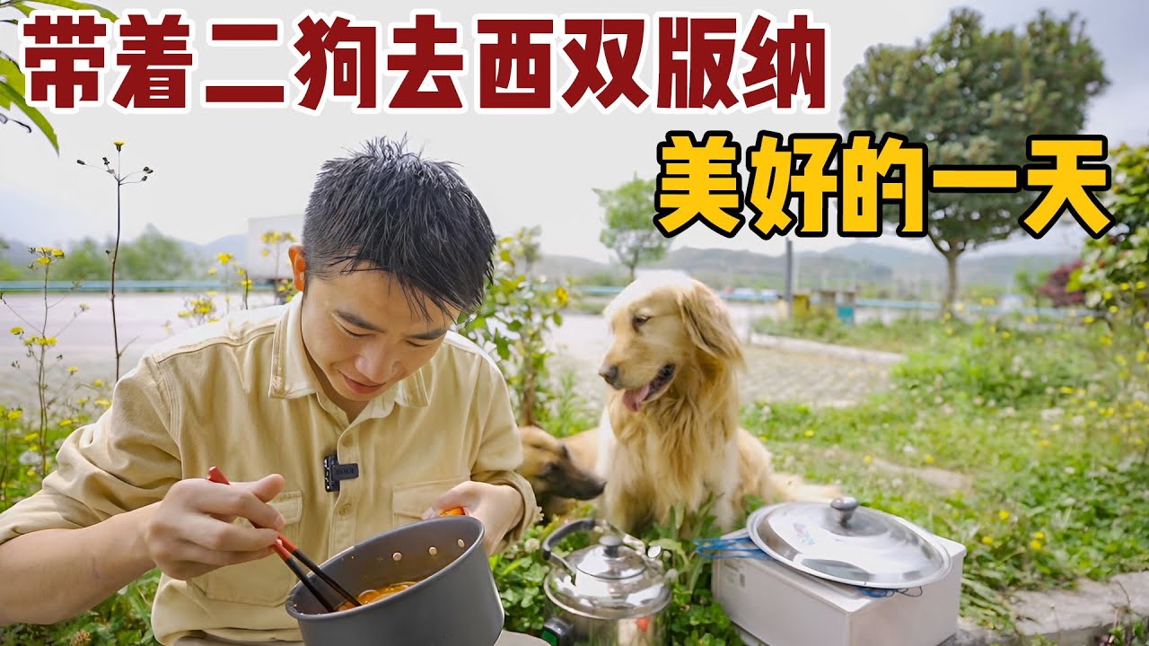 带着安妮波妞去西双版纳，高速路上的生活，劳累奔波却美好【小白的奇幻旅行】