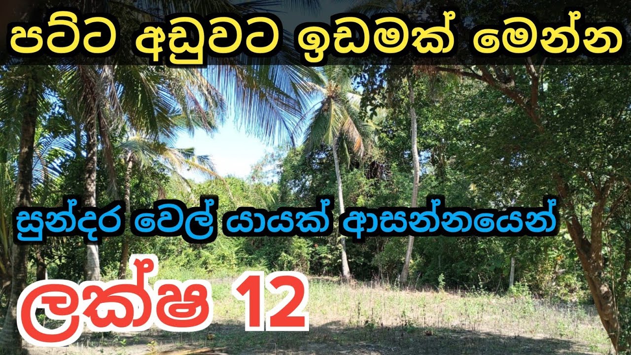 පට්ට අඩුවට ඉඩමක් ලක්ෂ 12 යි | Land Sale Sri Lanka | Land for Sale | Kurunegala | Ikman Selling