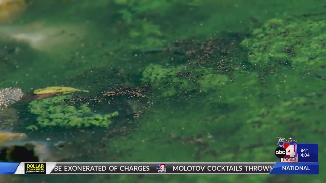New Process to Clear Algae from Lakes Tested in Utah