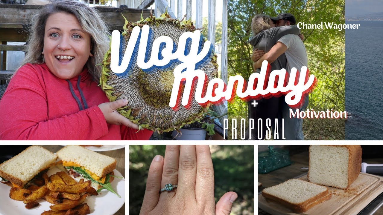 Surprise Proposal | Monday Motivation | Vlog | Cook With Me | Salmon Patties | Bread | BLTS |