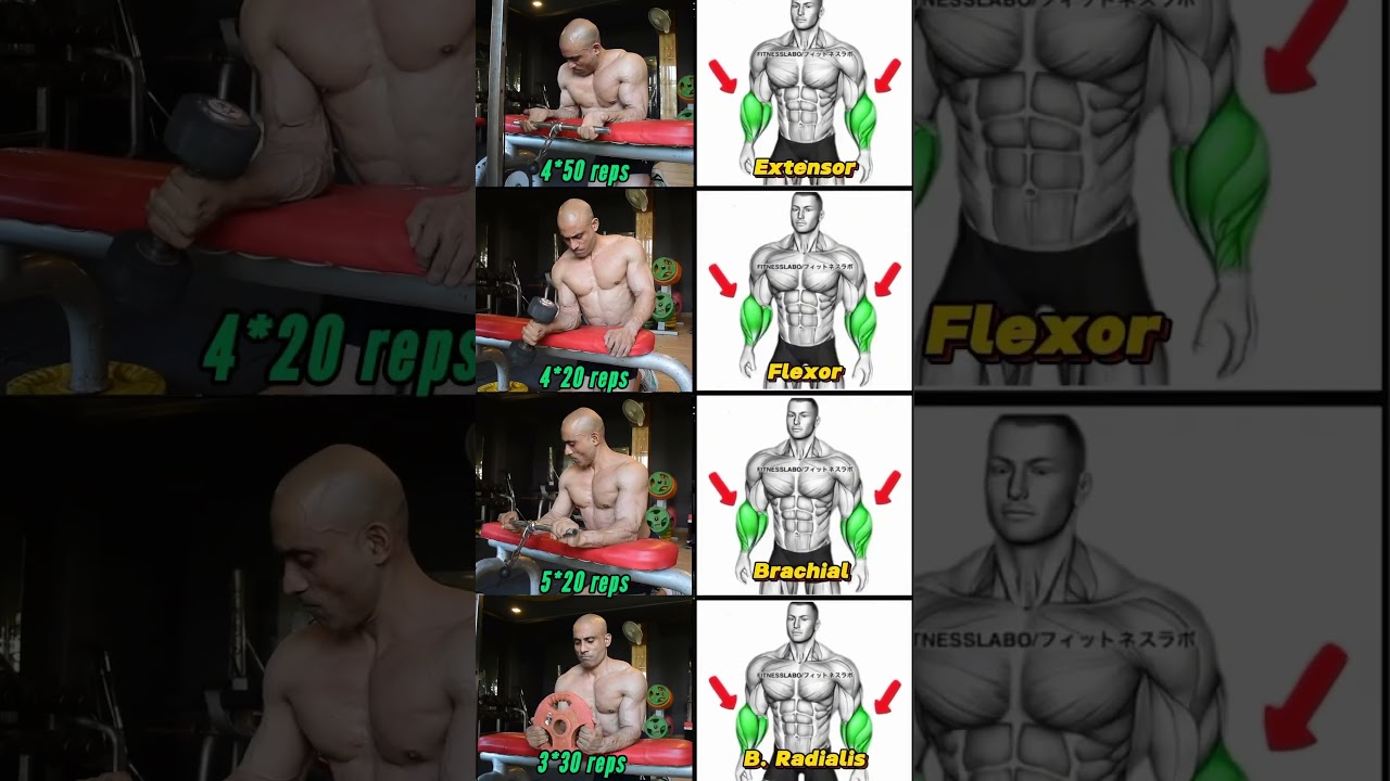 Top 5 Forearm Workout Variations for Stronger Arms!