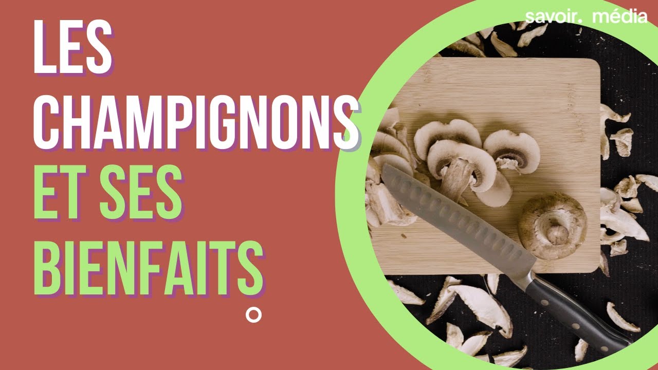 Les champignons - Puissance au menu - Épisode complet