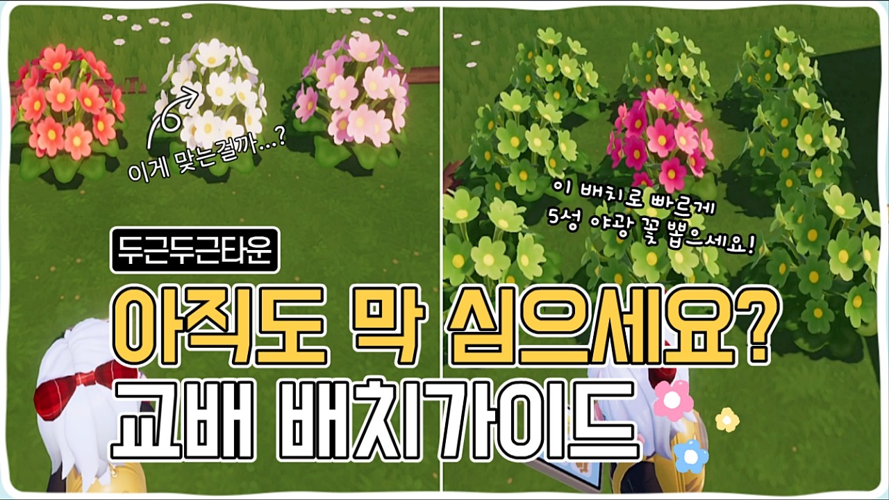 두근두근타운 교배 배치 가이드 응용편 교배성급에 관하여!