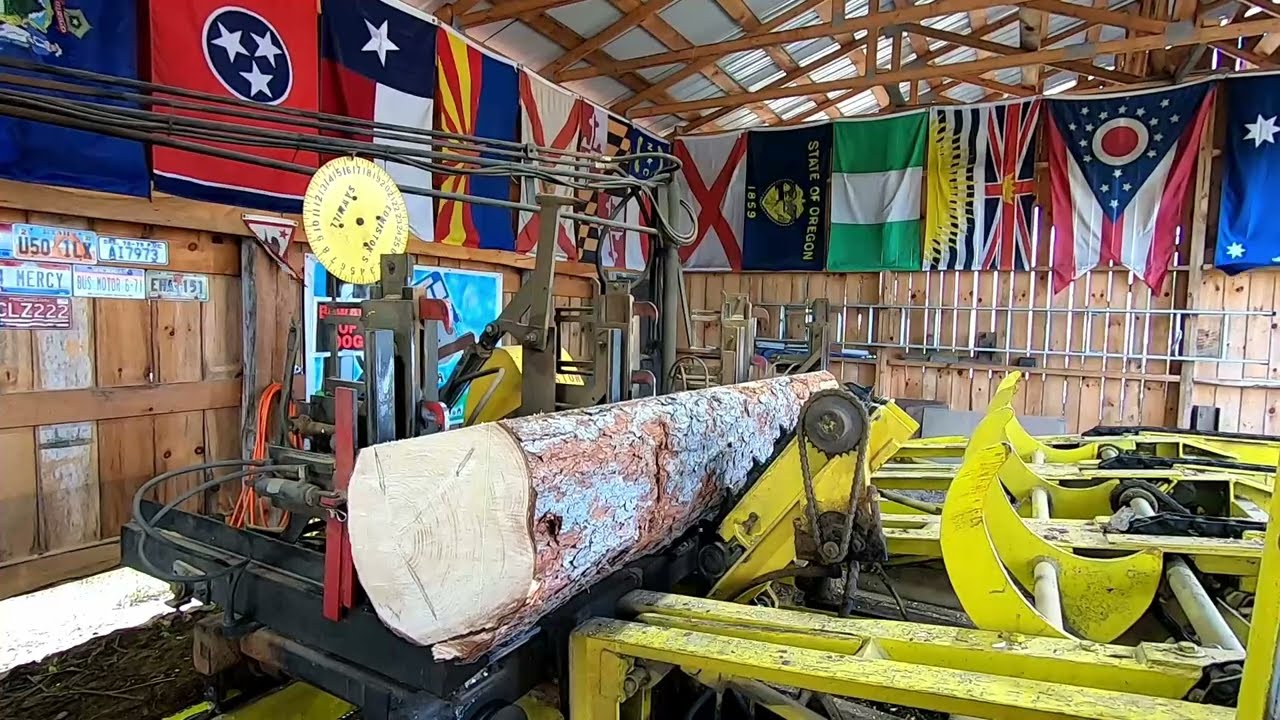 sawing white spruce # 328