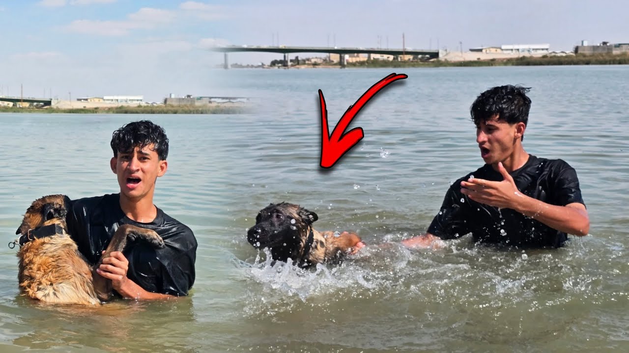 قررت أعلم كلبي زورو السباحة وتندمت !! صدمة 😧🔥