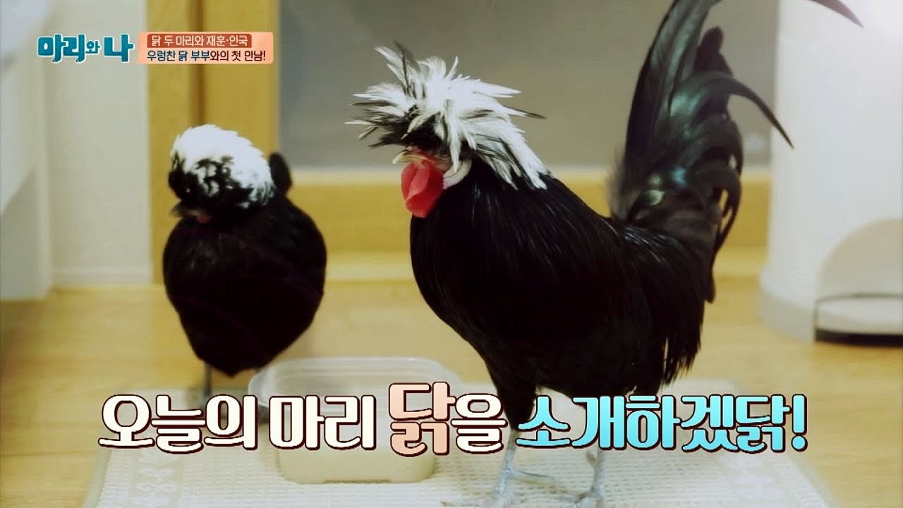 재훈&인국, 