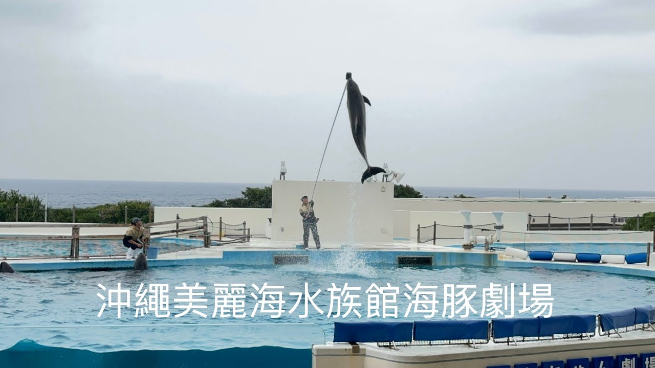 沖繩美麗海水族館/海豚劇場/沖縄美ら海水族館