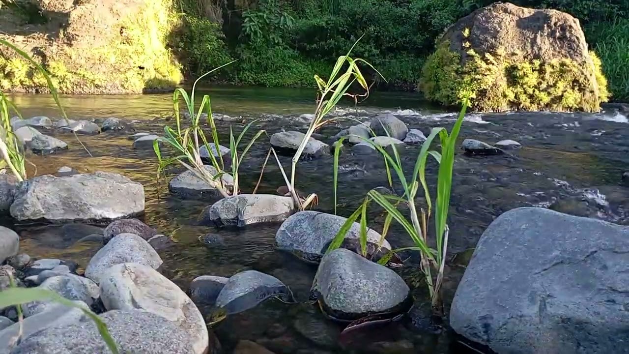 Night River Sounds | Water Flow Under Moonlight for Sleep
