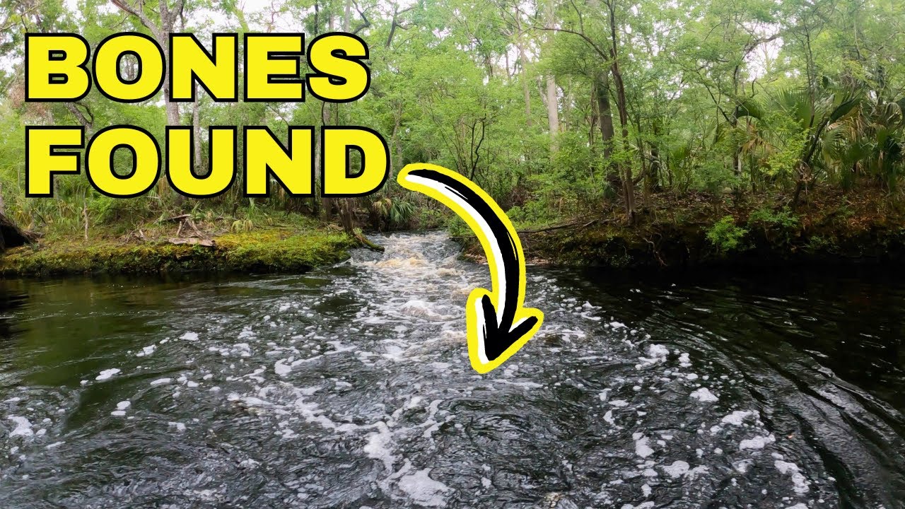 Prehistoric Fossils FOUND Diving a Dark Water River