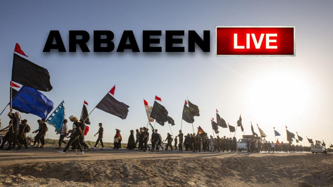 LIVE Arbaeen Walk to KARBALA مباشر مشاية الأربعين نحو كربلاء | 2024 | Imam Hussein TV Original | 4K