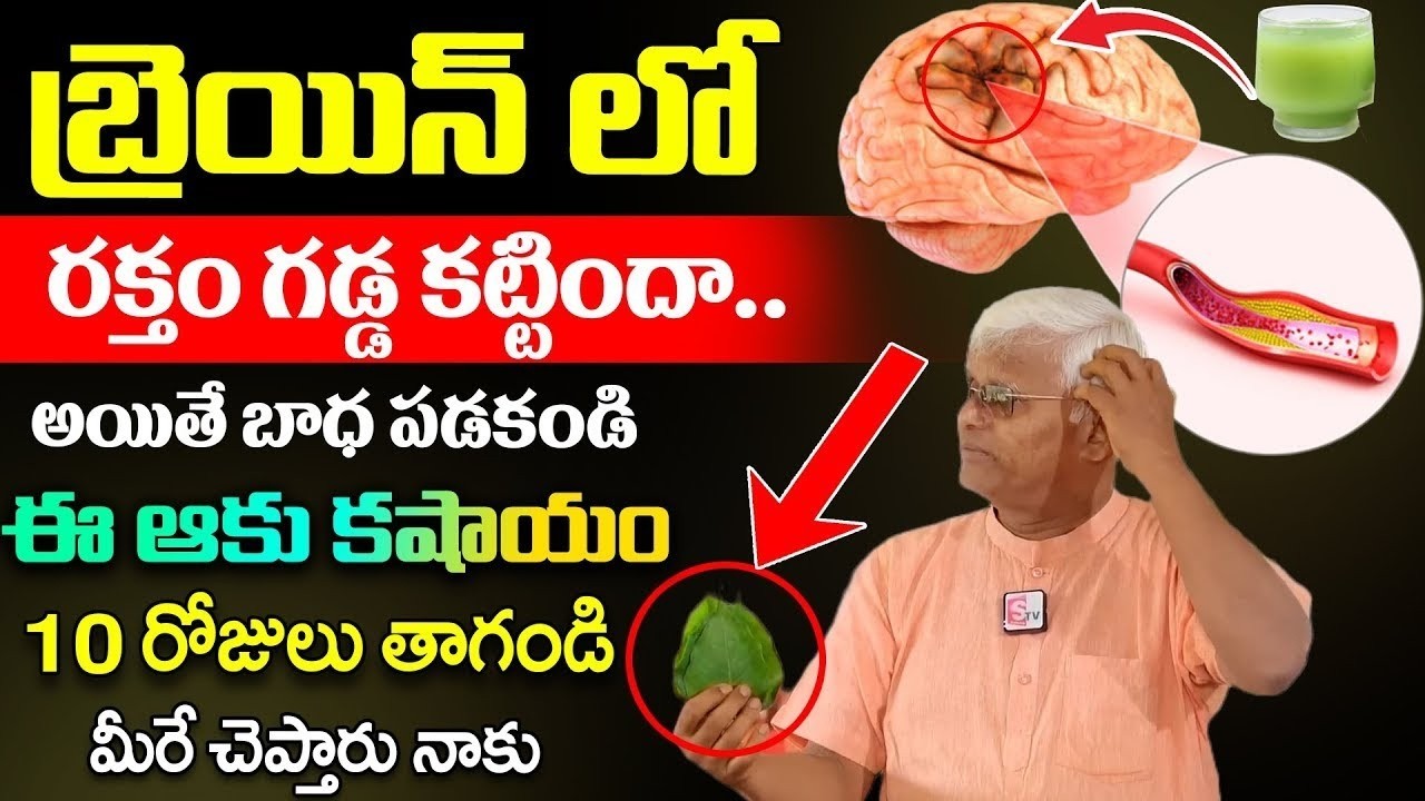 బ్రెయిన్ లో రక్తం గడ్డ కట్టిందా | ఈ ఆకు కషాయం10 రోజులు తాగండి | Brain | Khader Vali | SumanTv Health