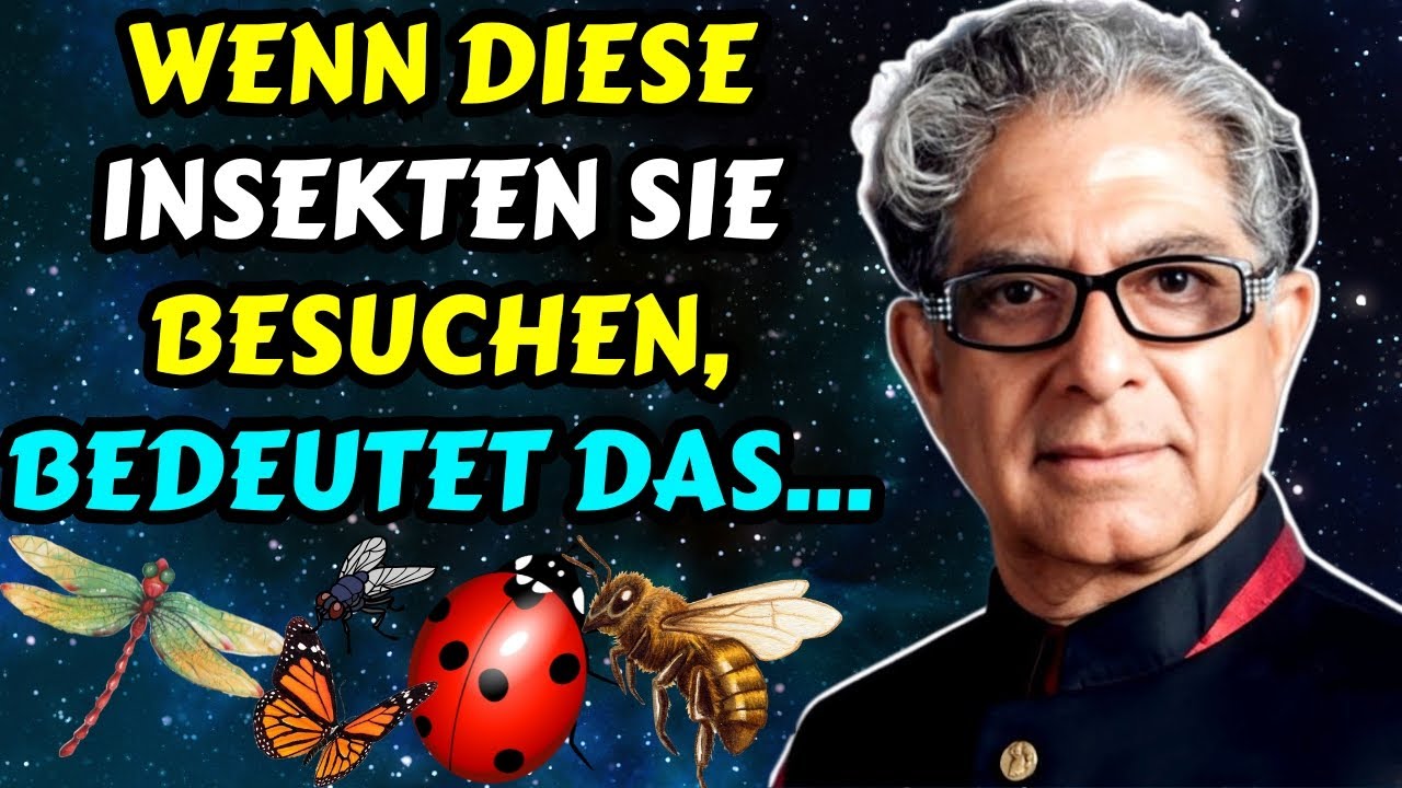97% übersehen diese Zeichen! Die spirituelle Bedeutung der Insekten in Ihrem Haus! Spirituelle welt